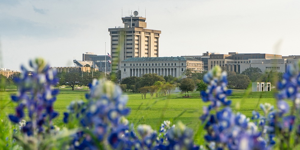 Texas A&M Campus silhouetted by bluebonnets
